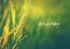 Punjab Agricultural University Biotech Research Associate Job With Rs. 47,000 pm Pay PAU Biotech Research Associate