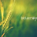Punjab Agricultural University Biotech Research Associate Job With Rs. 47,000 pm Pay PAU Biotech Research Associate