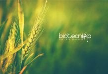 Punjab Agricultural University Biotech Research Associate Job With Rs. 47,000 pm Pay PAU Biotech Research Associate