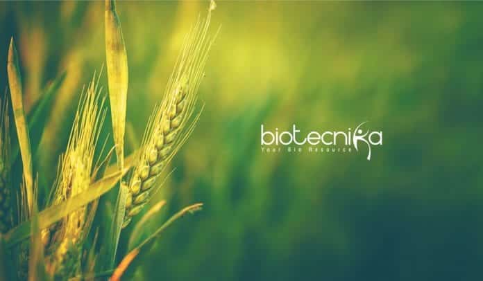 PAU Biotech Research Associate