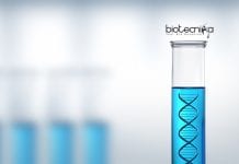 Punjab Agricultural University Junior Research Fellow Recruitment PAU Computational Biology JRF