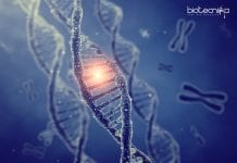 PGIMER Antibiotic Resistance Project Research Job For MSc Life Science Candidates PGIMER Project Research Job