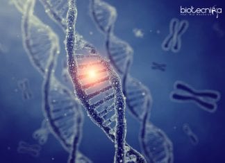 PGIMER Antibiotic Resistance Project Research Job For MSc Life Science Candidates PGIMER Project Research Job