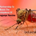 Partnership To Develop Chikungunya Vaccine