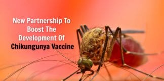 Partnership To Develop Chikungunya Vaccine