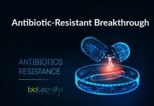 Antibiotic-Resistant Breakthrough : ‘Poisoned Arrow’ To Defeat Antibiotic-Resistant Bacteria By Princeton Poisoned arrow to fight antibiotic-resistant