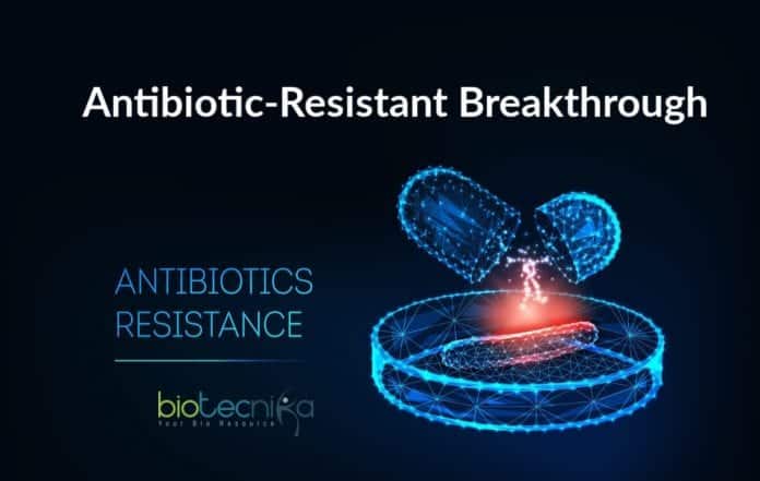  Poisoned arrow to fight antibiotic-resistant