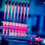 Polymedicure Microbiologist Job Opening