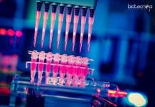 Polymedicure Microbiologist Job Opening – MSc Apply Polymedicure Microbiologist Job Opening