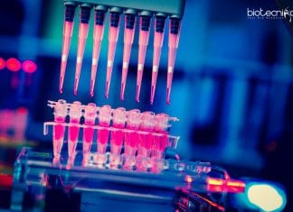 Polymedicure Microbiologist Job Opening