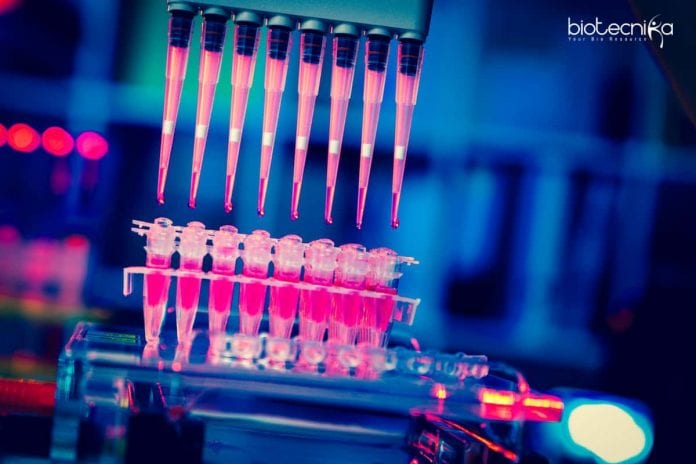 Polymedicure Microbiologist Job Opening