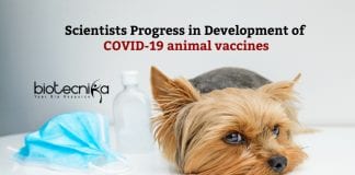 Progress in COVID-19 Animal Vaccines