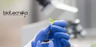 Punjab Agricultural University Research