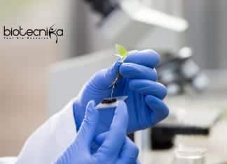 Punjab Agricultural University Research