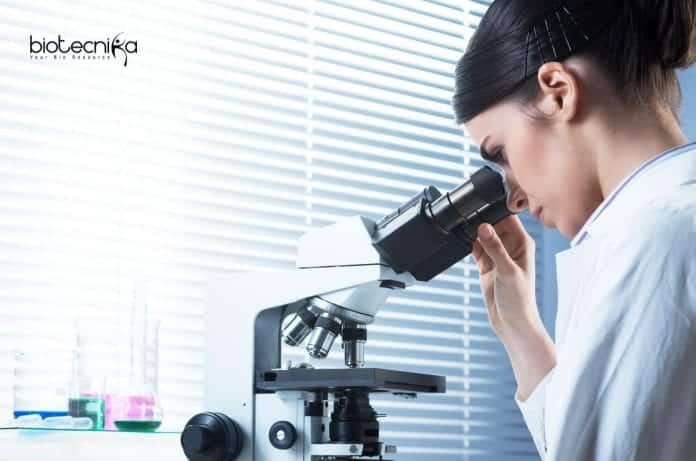 Quanticate Life Science Job