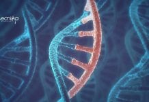 RCB – Regional Centre for Biotechnology SRF Post For Life Sciences RCB SRF Vacancy Latest