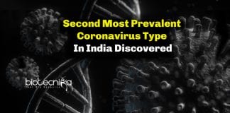 Second most prevalent coronavirus type in India