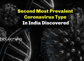 Second Most Common Coronavirus Type In India Found By CCMB & IGIB Scientists Second most prevalent coronavirus type in India