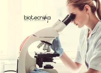 Siemens Life Science Clinical Evaluation Writer Job Vacancy Siemens Life Science Clinical