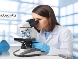 Sree Ramakrishna Paramahamsa Research