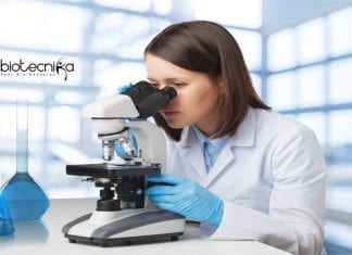 Sree Ramakrishna Paramahamsa Research