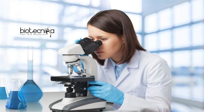 Sree Ramakrishna Paramahamsa Research