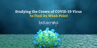 Studying the crown of COVID-19 virus