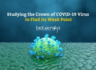Studying the crown of COVID-19 virus