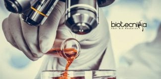 Syngene Biochemistry Analyst Job