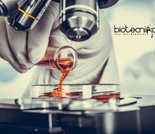 Syngene Biochemistry Analyst Job