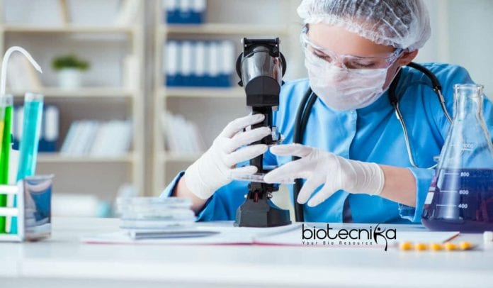 Syngene Biotech Careers