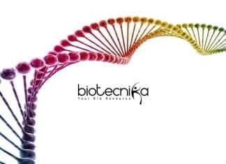 Syngene Freshers Microbiology Vacancy