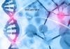 Syngene Genomics Associate Scientist Job – Biological Science/ Biotech Apply Syngene Genomics Associate Scientist