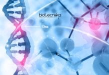 Syngene Genomics Associate Scientist Job – Biological Science/ Biotech Apply Syngene Genomics Associate Scientist