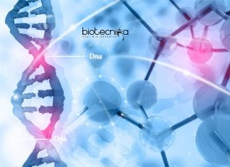 Syngene Genomics Associate Scientist