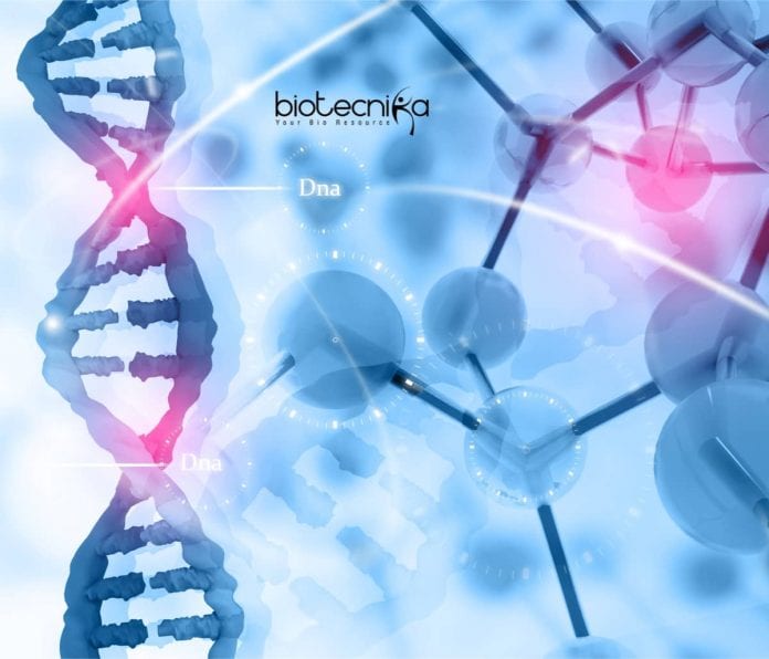Syngene Genomics Associate Scientist