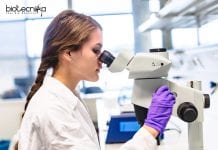 Syngene Life Science / Biotech / Biochemistry Executive Job Opening Syngene Life Science