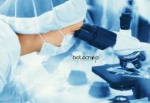 Syngene Protein Purification Job For MSc/MTech Biotechnology Syngene MSc MTech