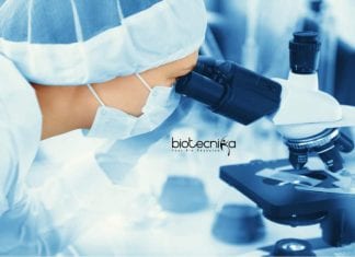 Syngene MSc MTech