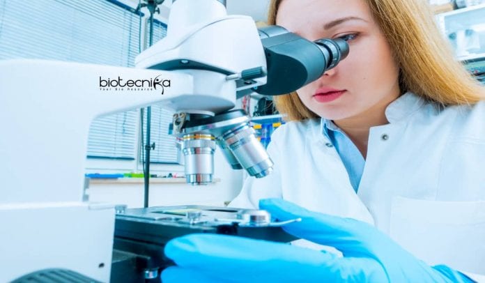 Syngene MTech Biotechnology