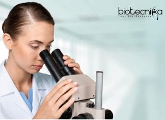 Syngene Microbiology Recruitment – Sr. Executive Vacancy Available Syngene Microbiology Recruitment