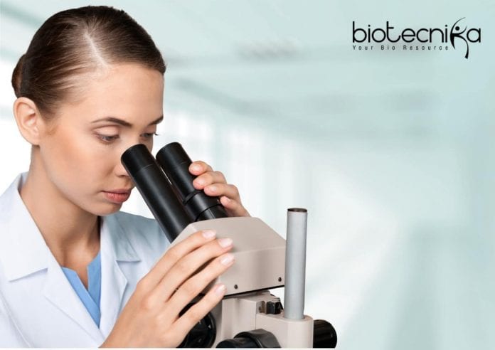 Syngene Microbiology Recruitment