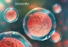 Syngene Stem Cell Biology Associate Scientist Job Opening Available Syngene Stem Cell Biology