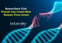 Viruses Forge Our Genetic Code To Create New Human-Virus Genes Viruses Create New Human-Virus Genes