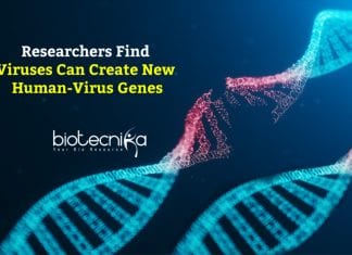 Viruses Create New Human-Virus Genes