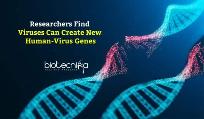 Viruses Create New Human-Virus Genes