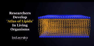 atlas of lipids in living organisms