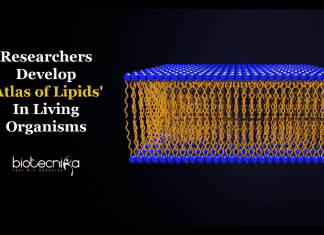 atlas of lipids in living organisms
