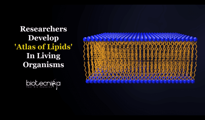 atlas of lipids in living organisms