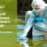 coronaviruses found in Italy's sewage